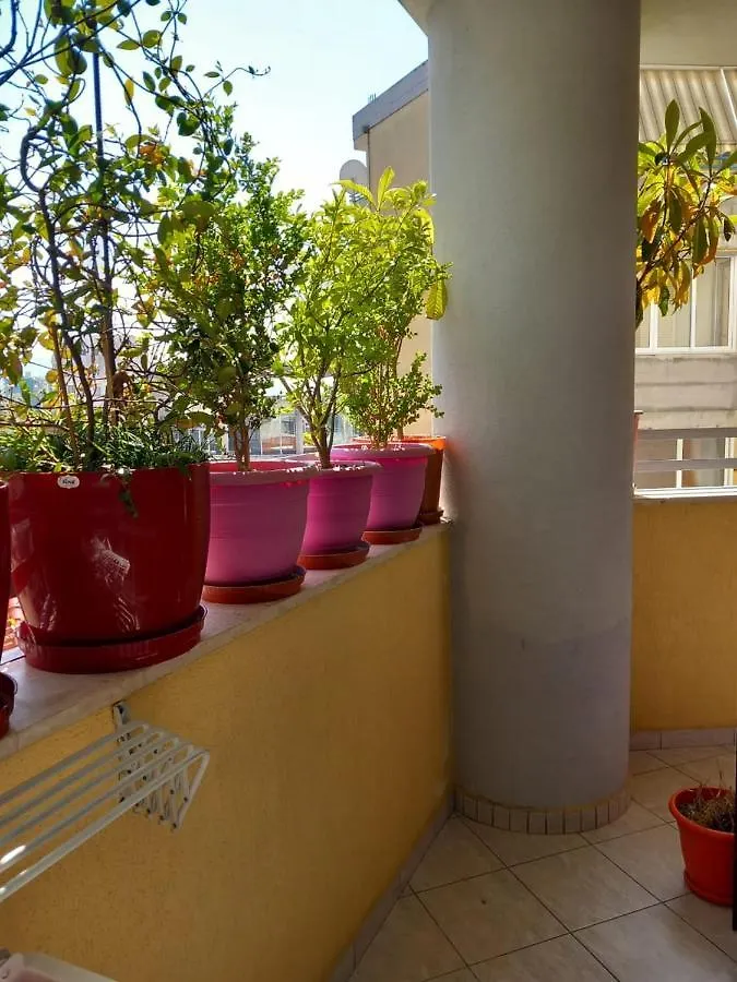 Holiday Center Apartment Shkoder